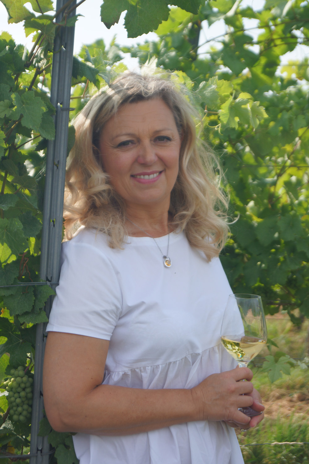 Wein & Käse