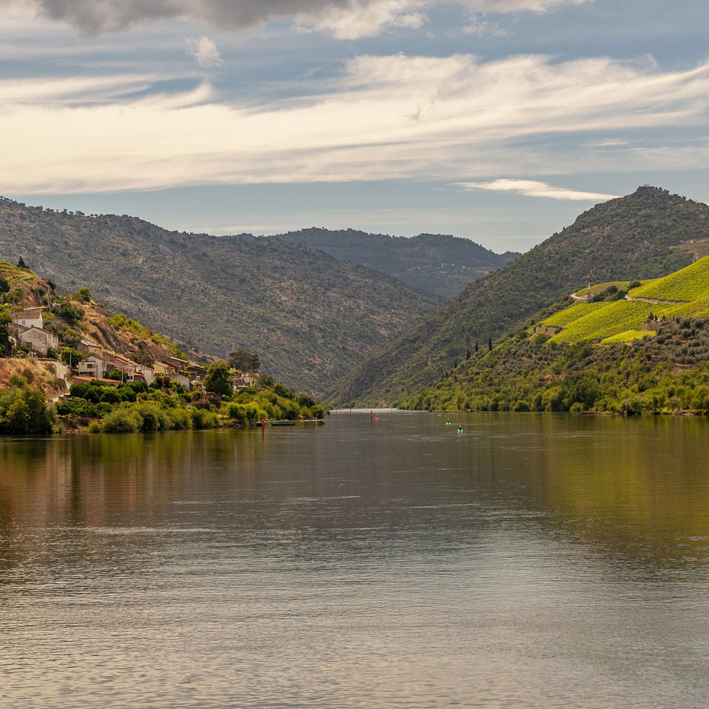 Gourmet-Flusskreuzfahrt auf dem Douro